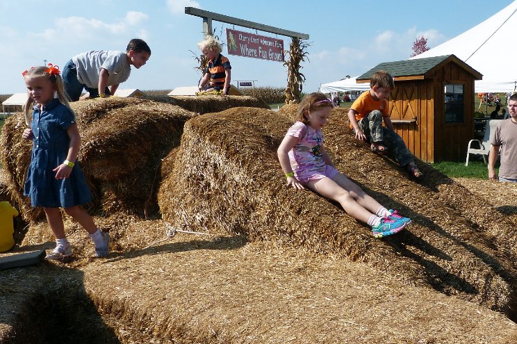 Sliding down hay bales